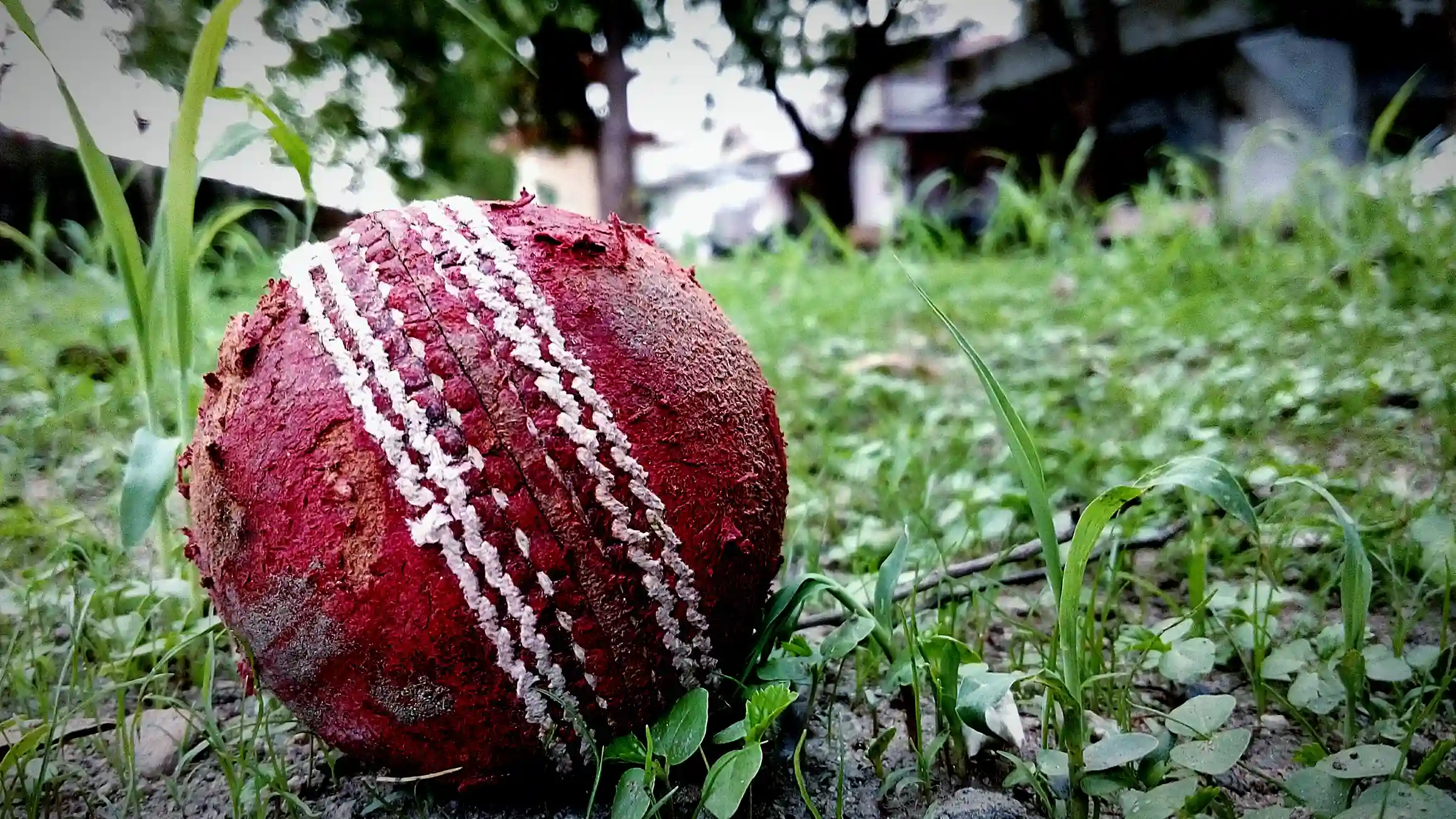 Cricket player batting